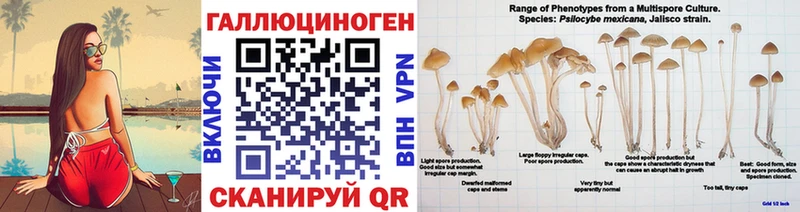 Купить где  Ишимбай  Псилоцибиновые грибы мухоморы 